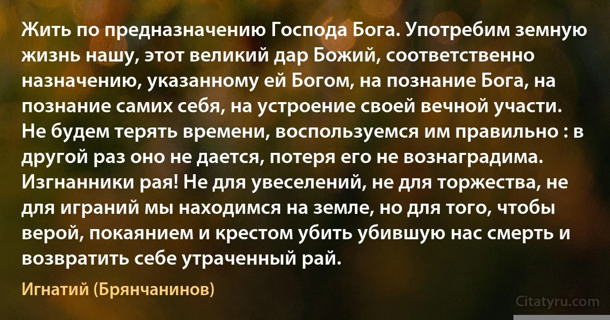 Жить по предназначению Господа Бога. Употребим земную жизнь нашу, этот великий дар Божий, соответственно назначению, указанному ей Богом, на познание Бога, на познание самих себя, на устроение своей вечной участи. 
Не будем терять времени, воспользуемся им правильно : в другой раз оно не дается, потеря его не вознаградима. 
Изгнанники рая! Не для увеселений, не для торжества, не для играний мы находимся на земле, но для того, чтобы верой, покаянием и крестом убить убившую нас смерть и возвратить себе утраченный рай. (Игнатий (Брянчанинов))