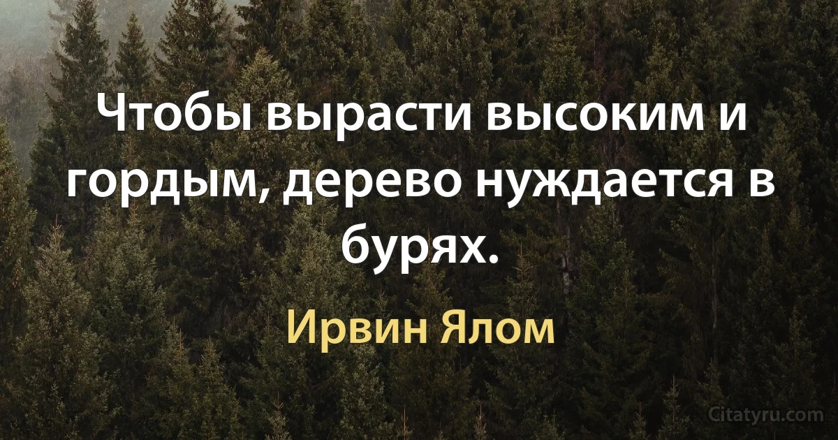 Чтобы вырасти высоким и гордым, дерево нуждается в бурях. (Ирвин Ялом)