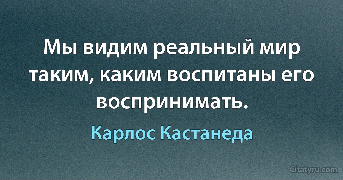 Мы видим реальный мир таким, каким воспитаны его воспринимать. (Карлос Кастанеда)