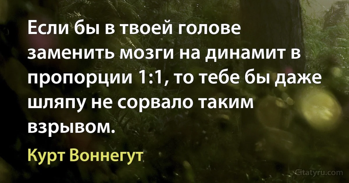 Если бы в твоей голове заменить мозги на динамит в пропорции 1:1, то тебе бы даже шляпу не сорвало таким взрывом. (Курт Воннегут)