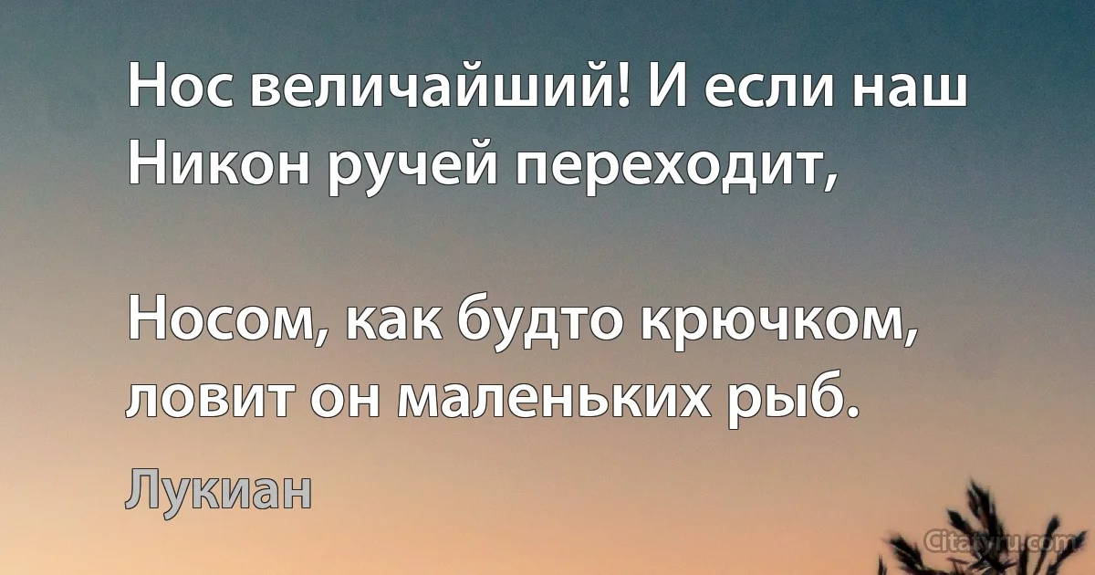 Нос величайший! И если наш Никон ручей переходит,

Носом, как будто крючком, ловит он маленьких рыб. (Лукиан)