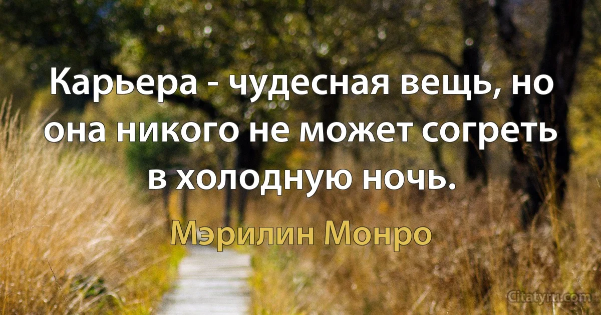 Карьера - чудесная вещь, но она никого не может согреть в холодную ночь. (Мэрилин Монро)