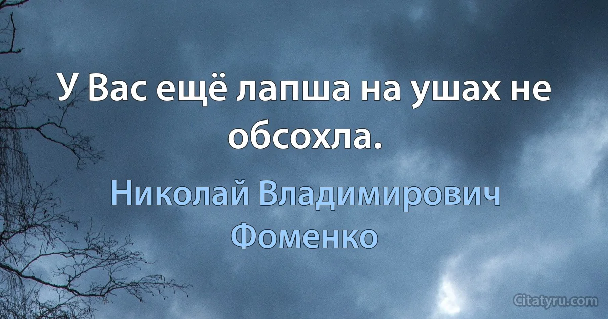 У Вас ещё лапша на ушах не обсохла. (Николай Владимирович Фоменко)