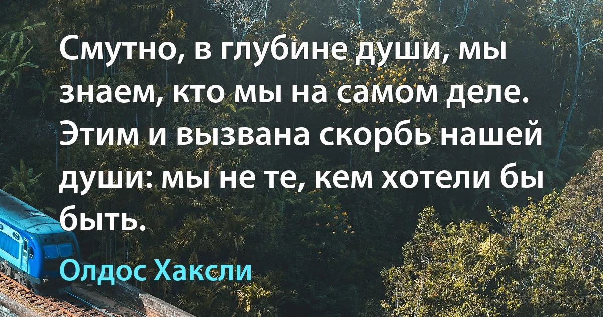 Смутно, в глубине души, мы знаем, кто мы на самом деле. Этим и вызвана скорбь нашей души: мы не те, кем хотели бы быть. (Олдос Хаксли)