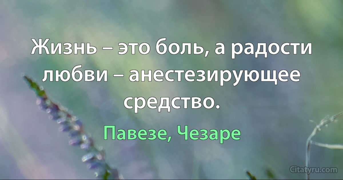 Жизнь – это боль, а радости любви – анестезирующее средство. (Павезе, Чезаре)