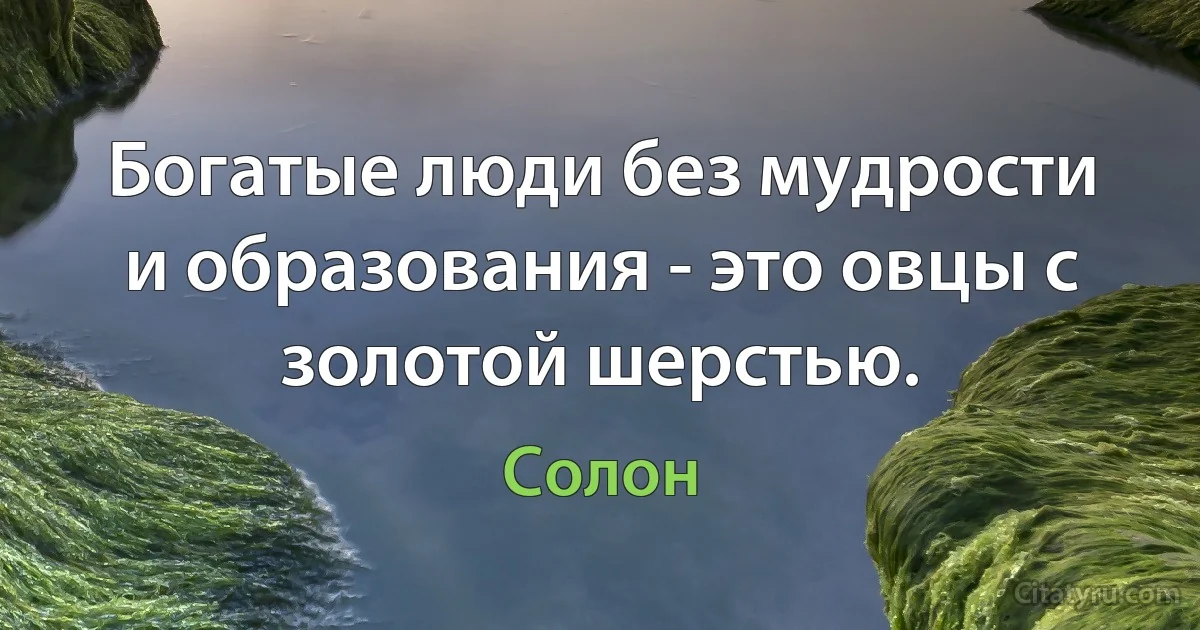 Богатые люди без мудрости и образования - это овцы с золотой шерстью. (Солон)