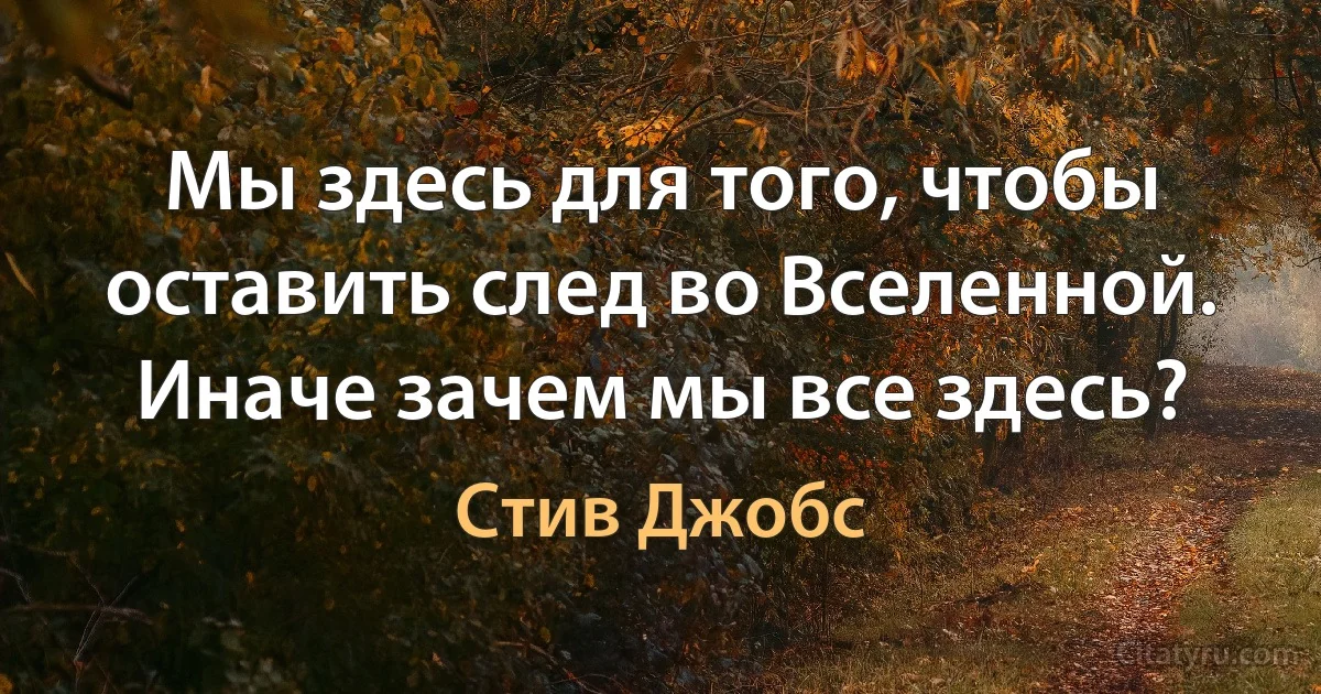 Мы здесь для того, чтобы оставить след во Вселенной. Иначе зачем мы все здесь? (Стив Джобс)