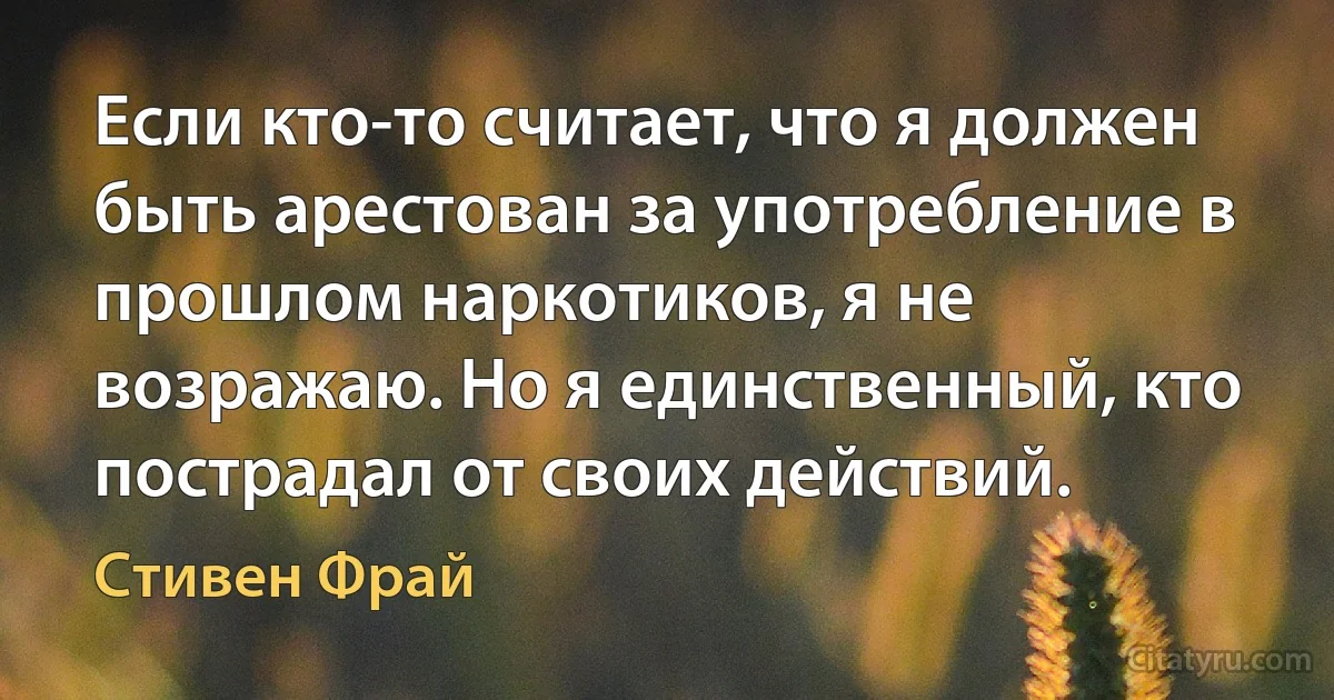 Если кто-то считает, что я должен быть арестован за употребление в прошлом наркотиков, я не возражаю. Но я единственный, кто пострадал от своих действий. (Стивен Фрай)