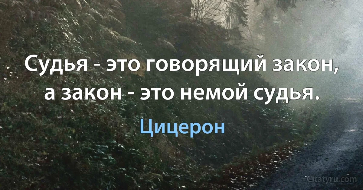 Судья - это говорящий закон, а закон - это немой судья. (Цицерон)