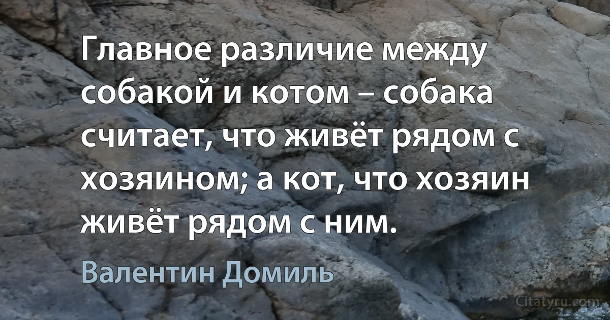 Главное различие между собакой и котом – собака считает, что живёт рядом с хозяином; а кот, что хозяин живёт рядом с ним. (Валентин Домиль)