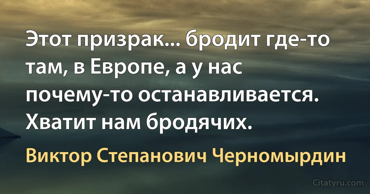 Этот призрак... бродит где-то там, в Европе, а у нас почему-то останавливается. Хватит нам бродячих. (Виктор Степанович Черномырдин)