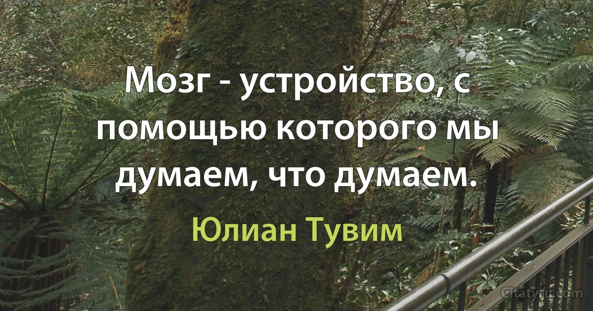 Мозг - устройство, с помощью которого мы думаем, что думаем. (Юлиан Тувим)