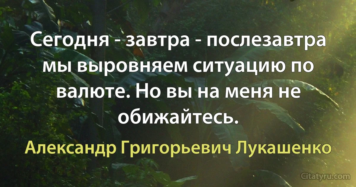 Сегодня - завтра - послезавтра мы выровняем ситуацию по валюте. Но вы на меня не обижайтесь. (Александр Григорьевич Лукашенко)