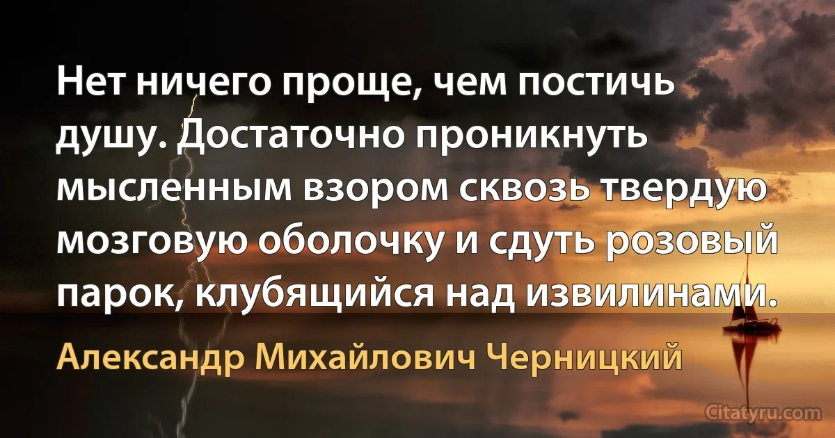 Нет ничего проще, чем постичь душу. Достаточно проникнуть мысленным взором сквозь твердую мозговую оболочку и сдуть розовый парок, клубящийся над извилинами. (Александр Михайлович Черницкий)