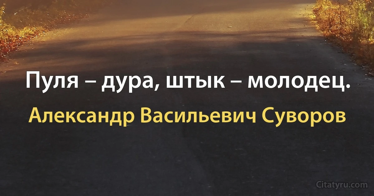 Пуля – дура, штык – молодец. (Александр Васильевич Суворов)