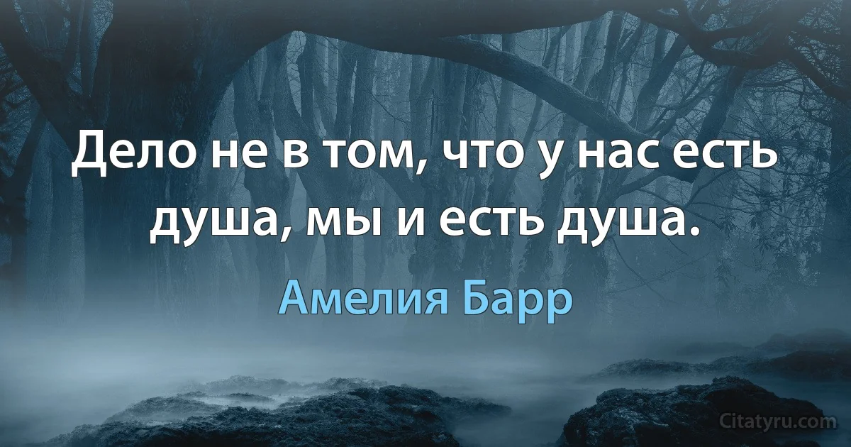 Дело не в том, что у нас есть душа, мы и есть душа. (Амелия Барр)