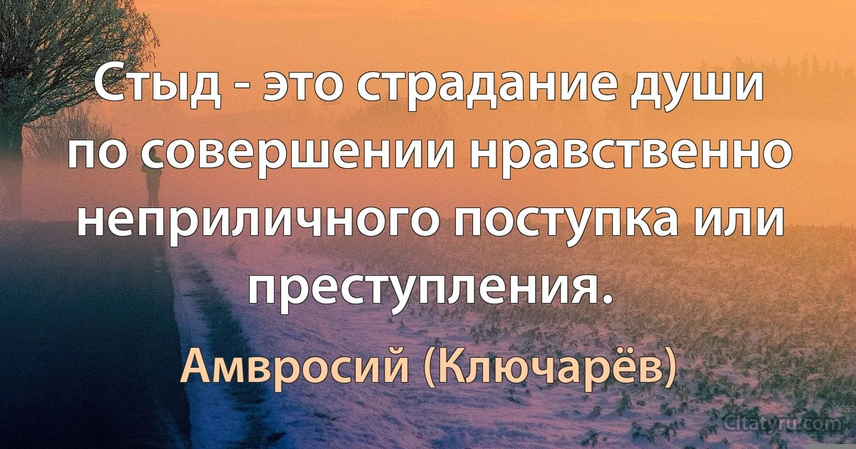 Стыд - это страдание души по совершении нравственно неприличного поступка или преступления. (Амвросий (Ключарёв))