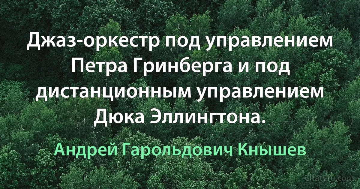 Джаз-оркестр под управлением Петра Гринберга и под дистанционным управлением Дюка Эллингтона. (Андрей Гарольдович Кнышев)