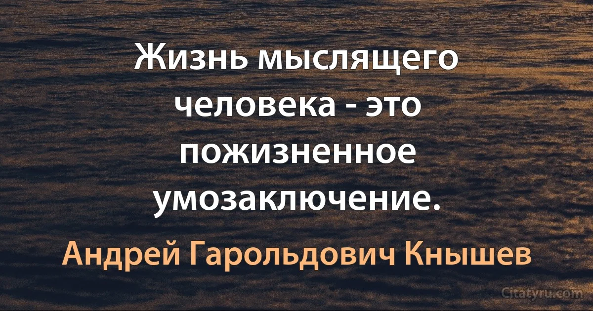 Жизнь мыслящего человека - это пожизненное умозаключение. (Андрей Гарольдович Кнышев)