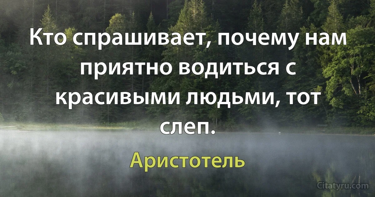 Кто спрашивает, почему нам приятно водиться с красивыми людьми, тот слеп. (Аристотель)