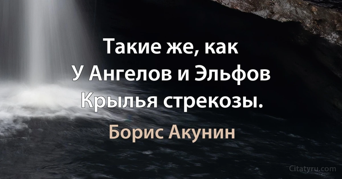 Такие же, как
У Ангелов и Эльфов
Крылья стрекозы. (Борис Акунин)