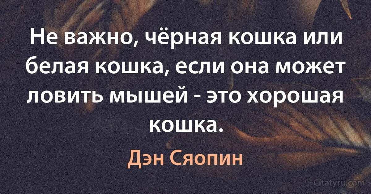 Не важно, чёрная кошка или белая кошка, если она может ловить мышей - это хорошая кошка. (Дэн Сяопин)