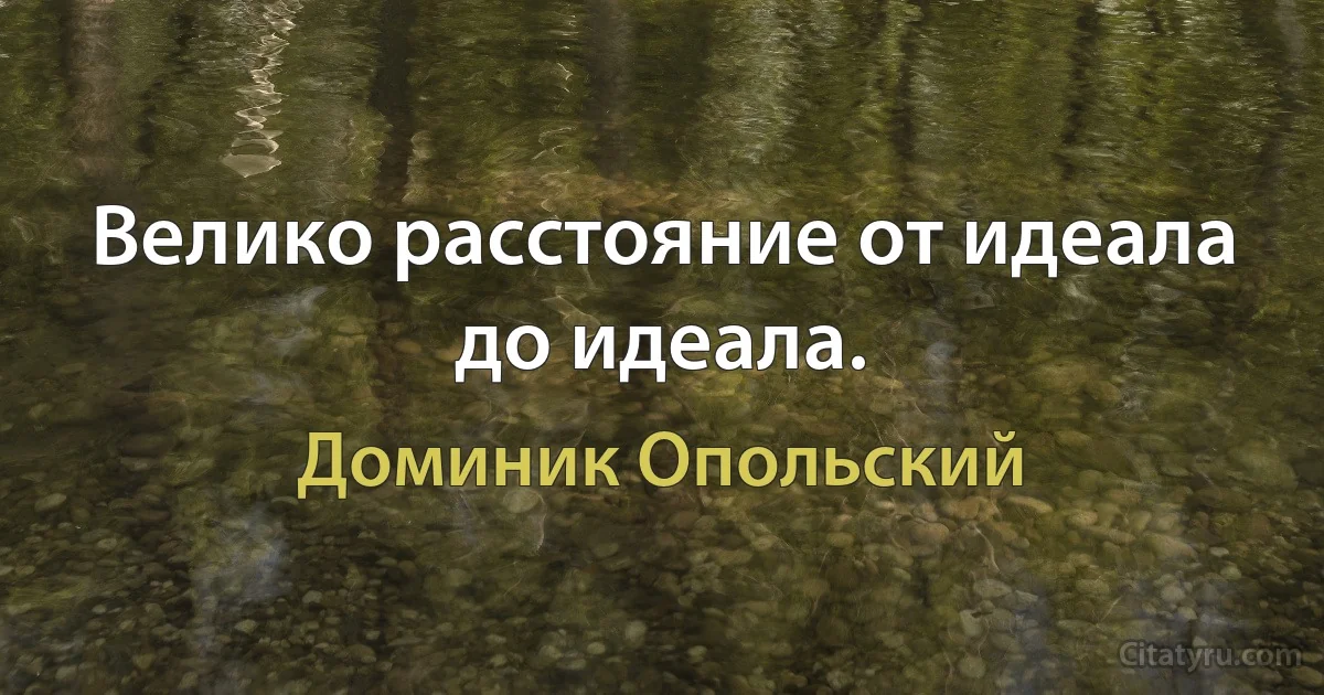 Велико расстояние от идеала до идеала. (Доминик Опольский)