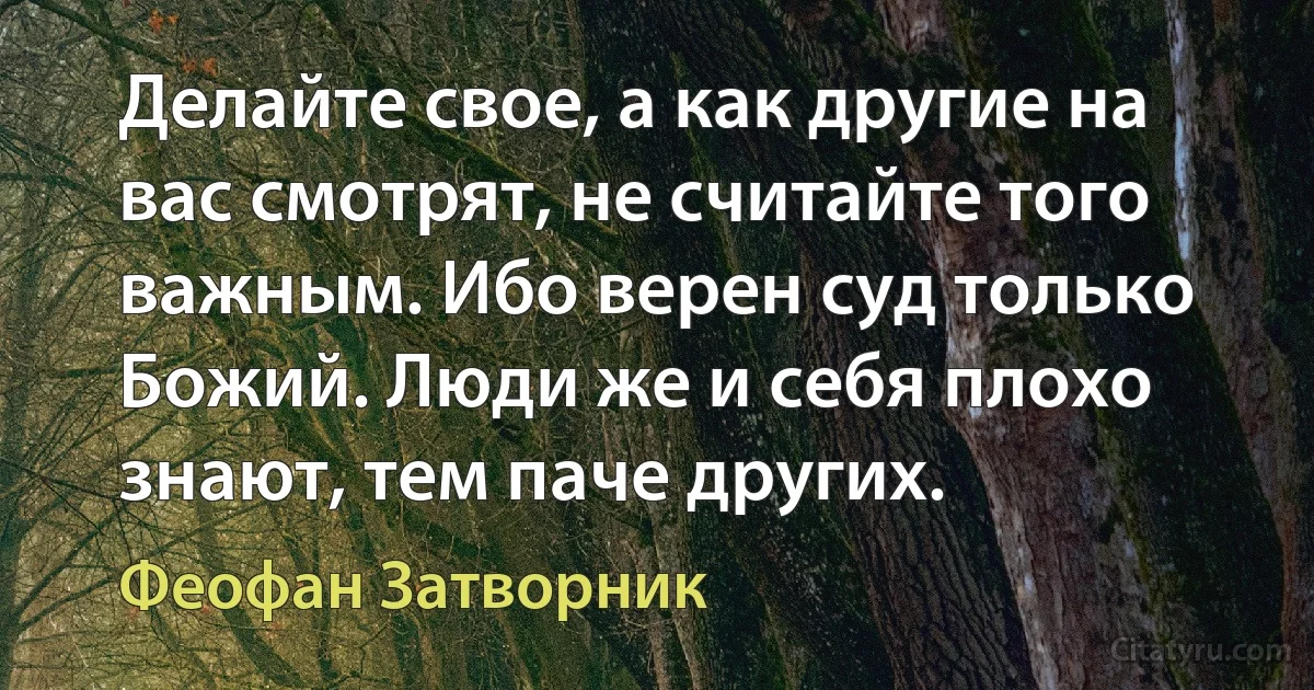 Делайте свое, а как другие на вас смотрят, не считайте того важным. Ибо верен суд только Божий. Люди же и себя плохо знают, тем паче других. (Феофан Затворник)