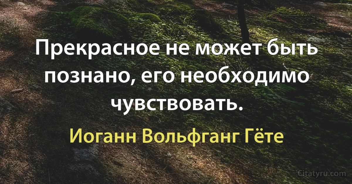 Прекрасное не может быть познано, его необходимо чувствовать. (Иоганн Вольфганг Гёте)