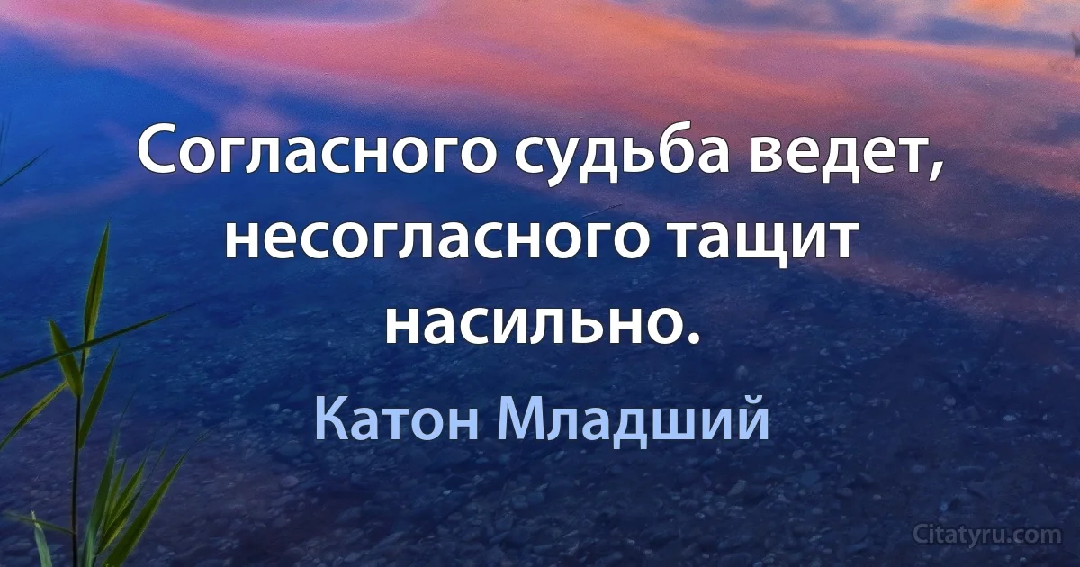 Согласного судьба ведет, несогласного тащит насильно. (Катон Младший)