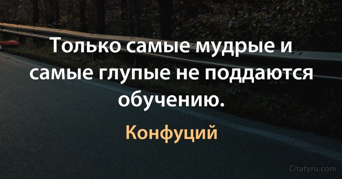 Только самые мудрые и самые глупые не поддаются обучению. (Конфуций)