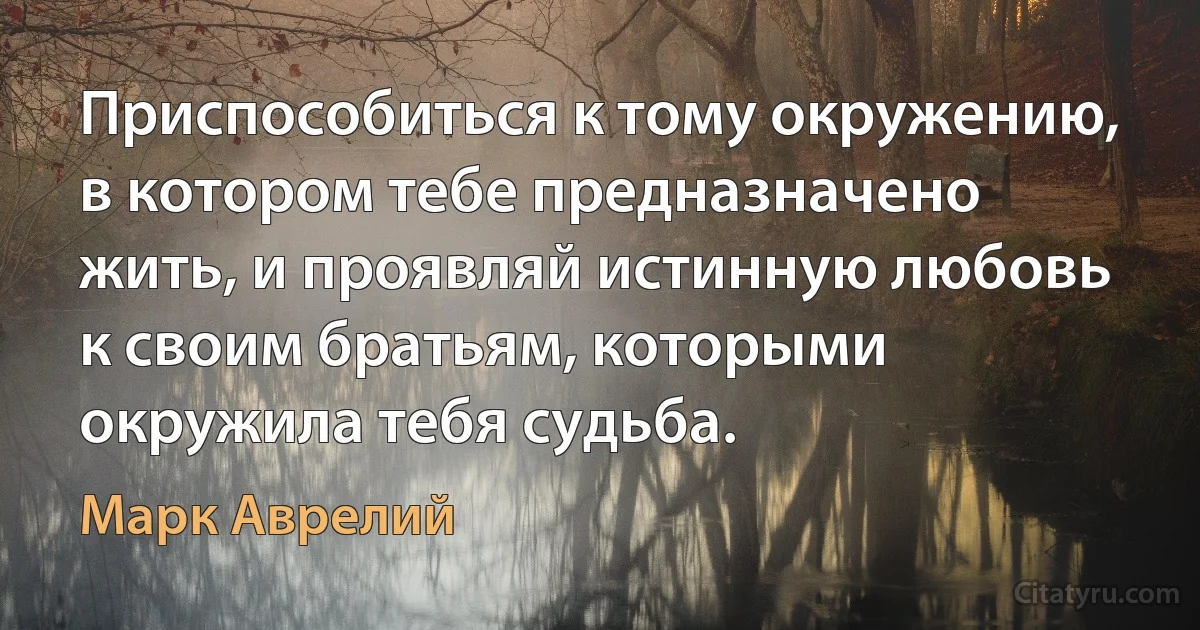 Приспособиться к тому окружению, в котором тебе предназначено жить, и проявляй истинную любовь к своим братьям, которыми окружила тебя судьба. (Марк Аврелий)