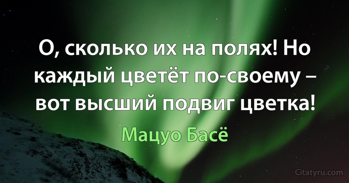 О, сколько их на полях! Но каждый цветёт по-своему – вот высший подвиг цветка! (Мацуо Басё)