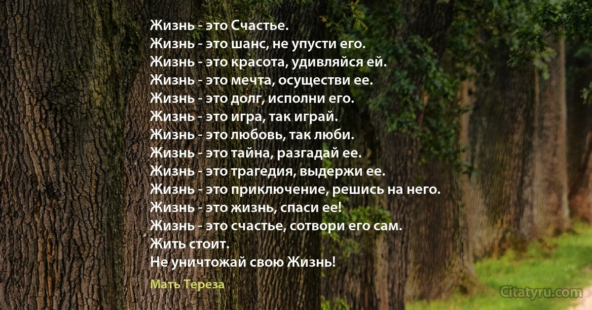 Жизнь - это Счастье.
Жизнь - это шанс, не упусти его.
Жизнь - это красота, удивляйся ей.
Жизнь - это мечта, осуществи ее.
Жизнь - это долг, исполни его.
Жизнь - это игра, так играй.
Жизнь - это любовь, так люби.
Жизнь - это тайна, разгадай ее.
Жизнь - это трагедия, выдержи ее.
Жизнь - это приключение, решись на него.
Жизнь - это жизнь, спаси ее!
Жизнь - это счастье, сотвори его сам.
Жить стоит.
Не уничтожай свою Жизнь! (Мать Тереза)