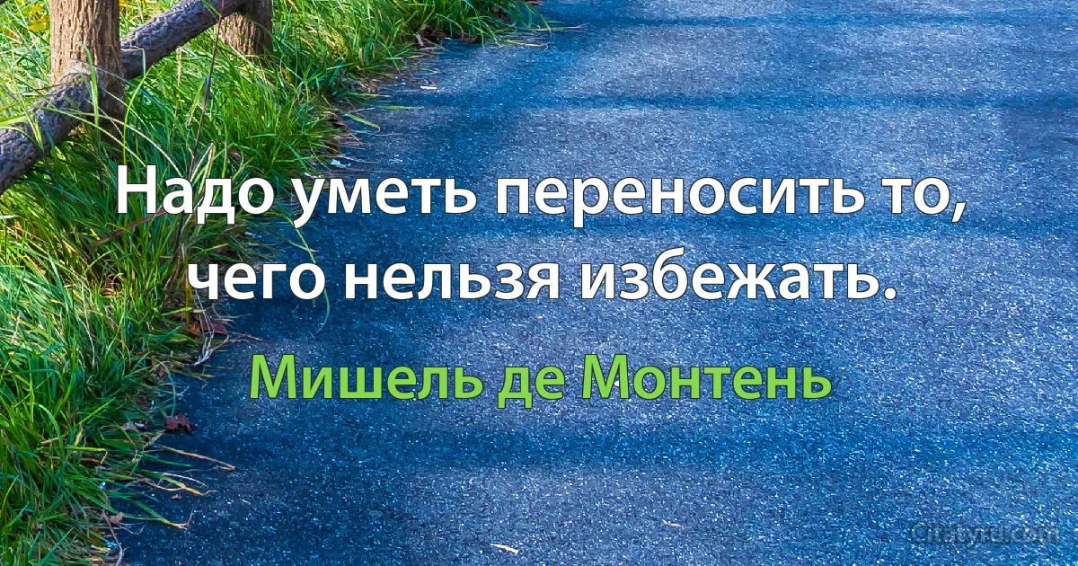 Надо уметь переносить то, чего нельзя избежать. (Мишель де Монтень)