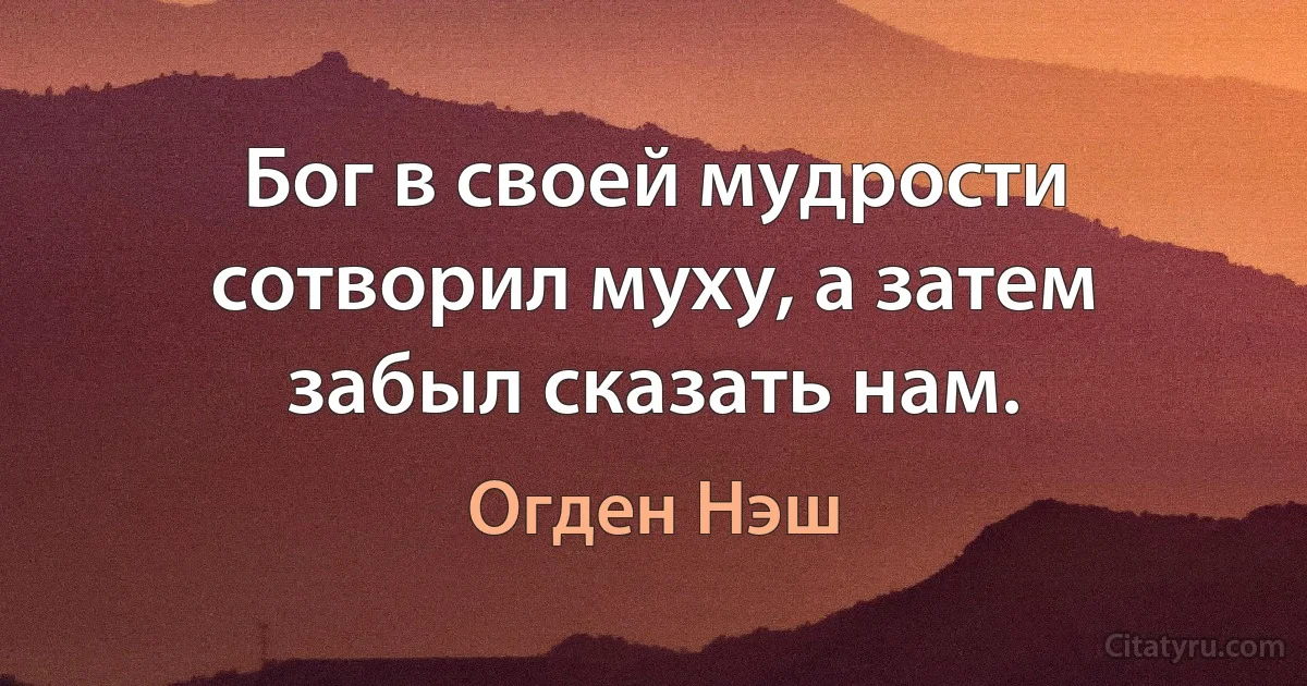 Бог в своей мудрости сотворил муху, а затем забыл сказать нам. (Огден Нэш)