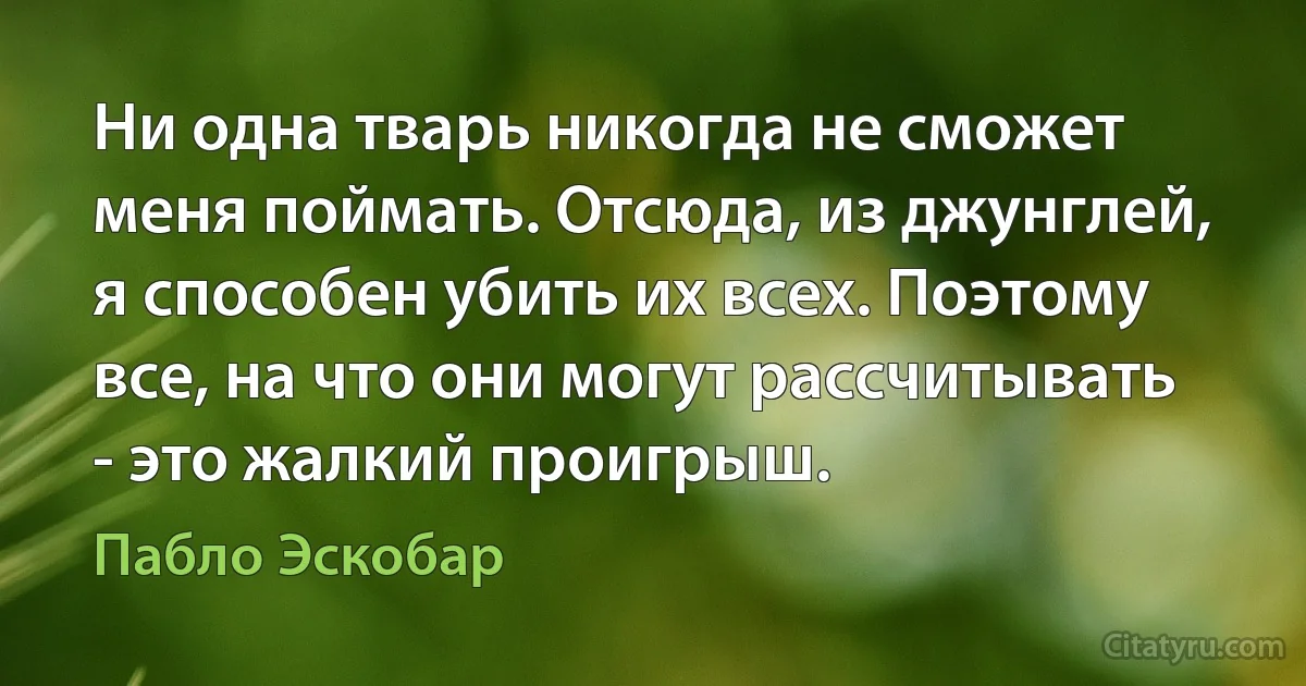 Ни одна тварь никогда не сможет меня поймать. Отсюда, из джунглей, я способен убить их всех. Поэтому все, на что они могут рассчитывать - это жалкий проигрыш. (Пабло Эскобар)