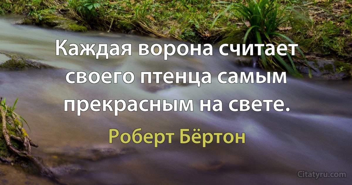 Каждая ворона считает своего птенца самым прекрасным на свете. (Роберт Бёртон)