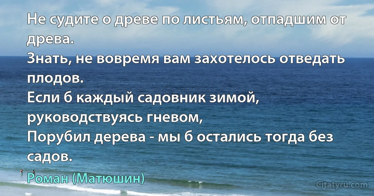 Не судите о древе по листьям, отпадшим от древа.
Знать, не вовремя вам захотелось отведать плодов.
Если б каждый садовник зимой, руководствуясь гневом,
Порубил дерева - мы б остались тогда без садов. (Роман (Матюшин))