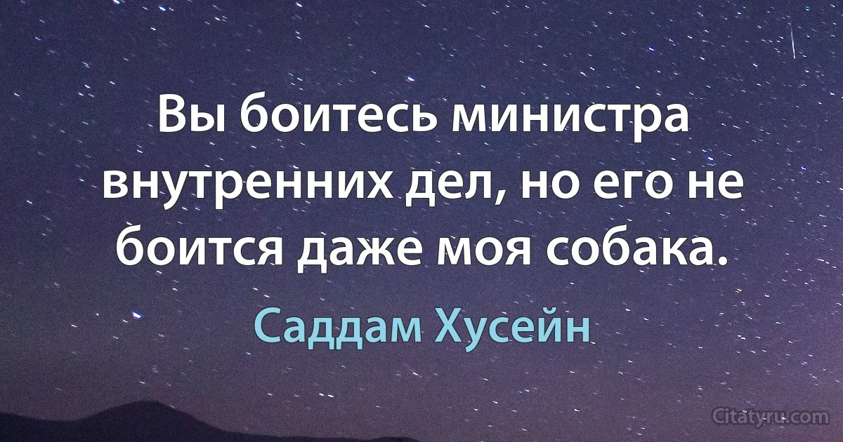 Вы боитесь министра внутренних дел, но его не боится даже моя собака. (Саддам Хусейн)