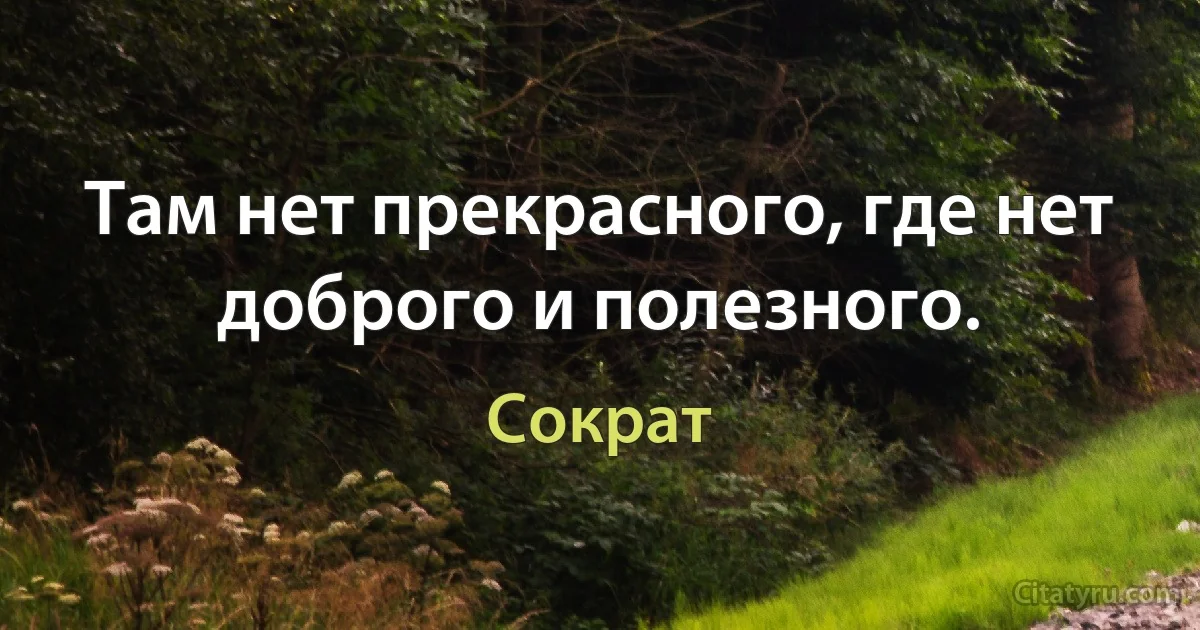 Там нет прекрасного, где нет доброго и полезного. (Сократ)