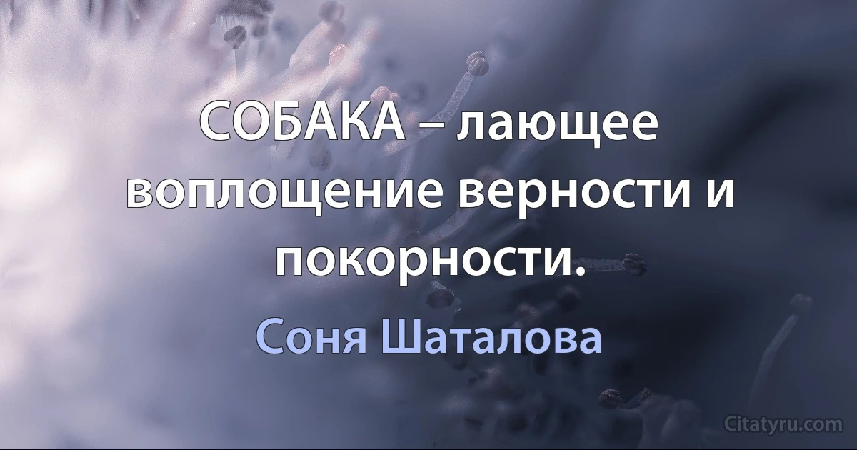 СОБАКА – лающее воплощение верности и покорности. (Соня Шаталова)