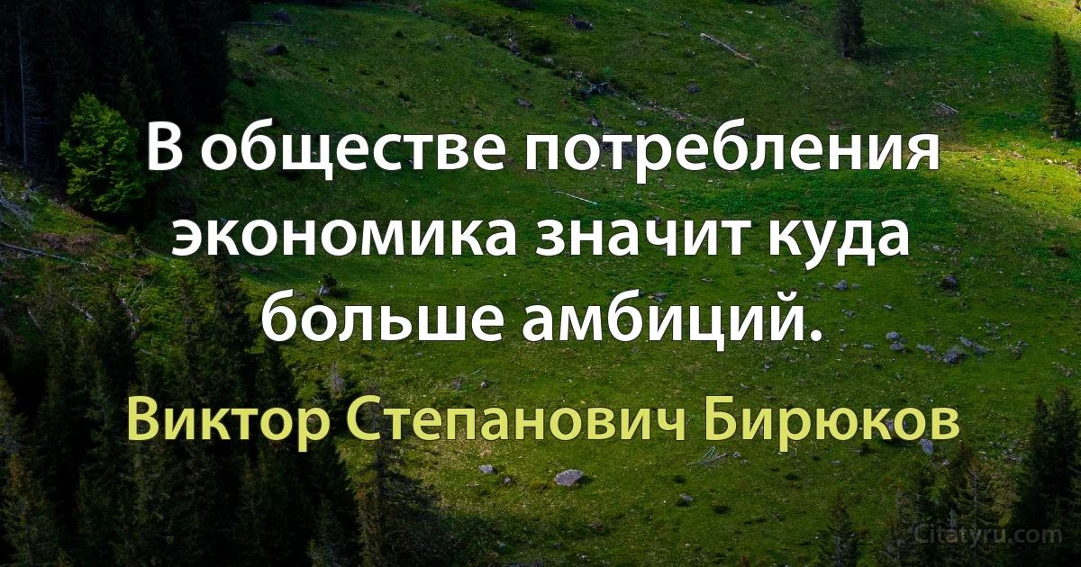 В обществе потребления экономика значит куда больше амбиций. (Виктор Степанович Бирюков)