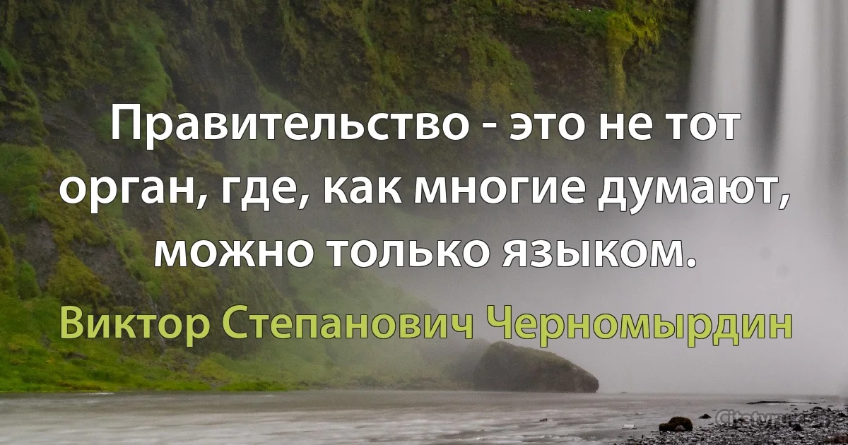 Правительство - это не тот орган, где, как многие думают, можно только языком. (Виктор Степанович Черномырдин)