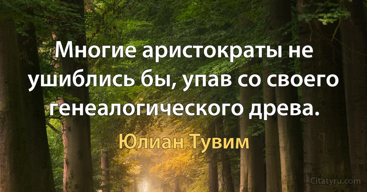 Многие аристократы не ушиблись бы, упав со своего генеалогического древа. (Юлиан Тувим)