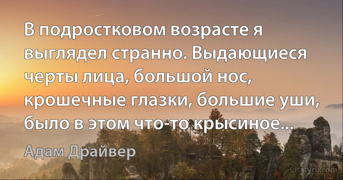 В подростковом возрасте я выглядел странно. Выдающиеся черты лица, большой нос, крошечные глазки, большие уши, было в этом что-то крысиное... (Адам Драйвер)