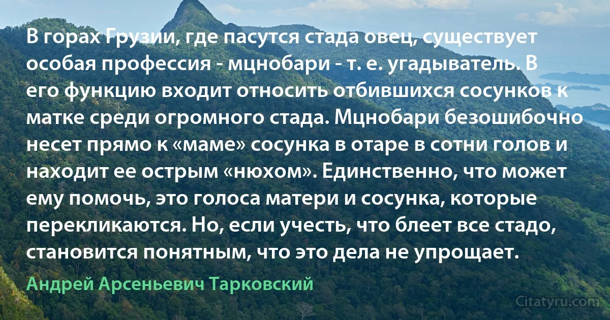 В горах Грузии, где пасутся стада овец, существует особая профессия - мцнобари - т. е. угадыватель. В его функцию входит относить отбившихся сосунков к матке среди огромного стада. Мцнобари безошибочно несет прямо к «маме» сосунка в отаре в сотни голов и находит ее острым «нюхом». Единственно, что может ему помочь, это голоса матери и сосунка, которые перекликаются. Но, если учесть, что блеет все стадо, становится понятным, что это дела не упрощает. (Андрей Арсеньевич Тарковский)