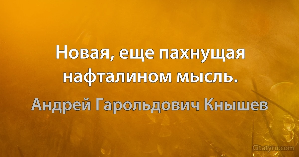 Новая, еще пахнущая нафталином мысль. (Андрей Гарольдович Кнышев)