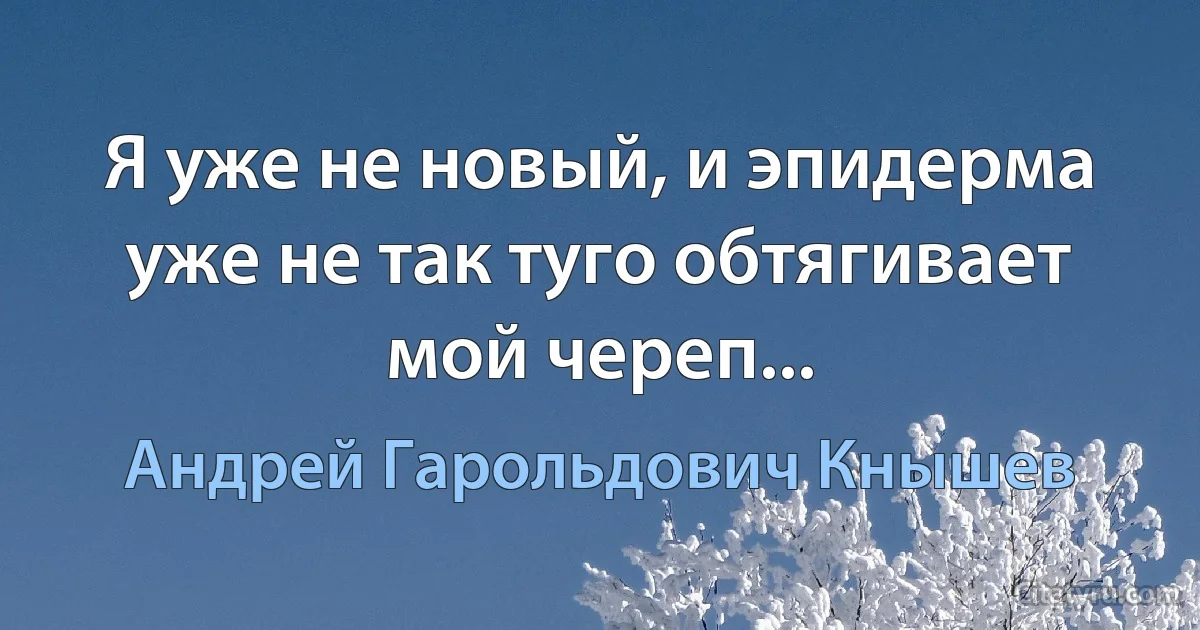 Я уже не новый, и эпидерма уже не так туго обтягивает мой череп... (Андрей Гарольдович Кнышев)