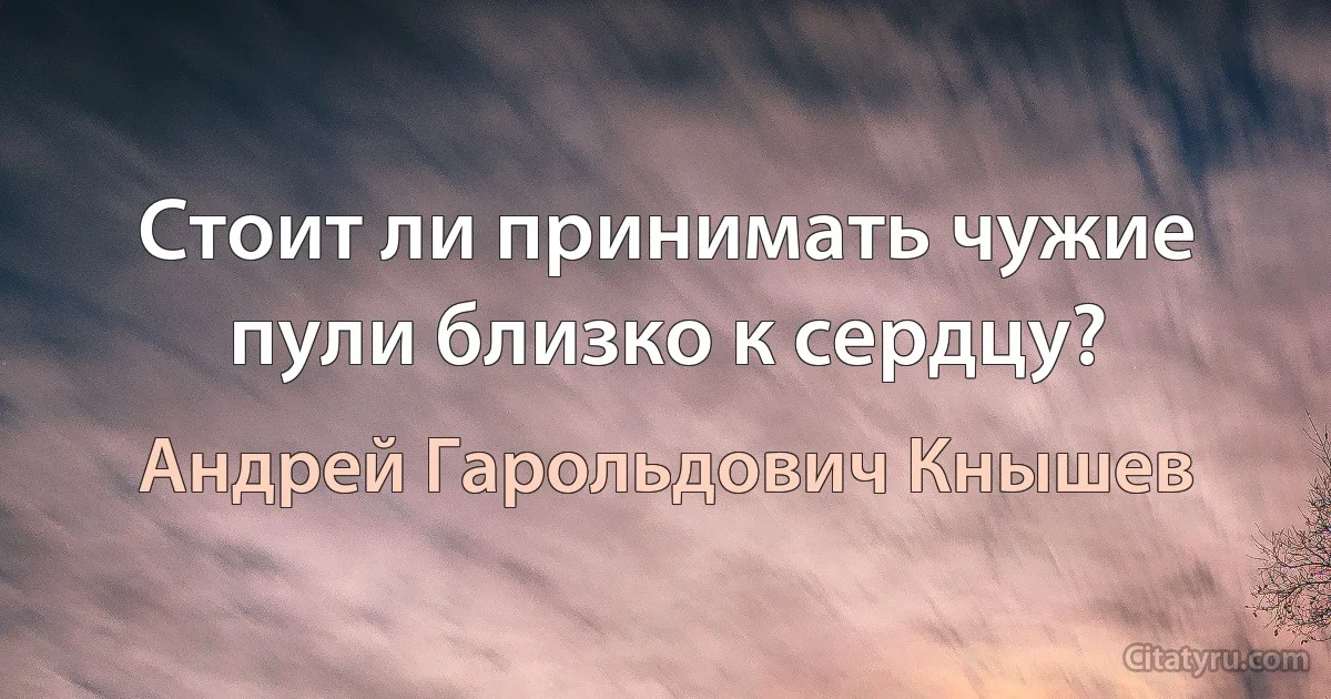 Стоит ли принимать чужие пули близко к сердцу? (Андрей Гарольдович Кнышев)